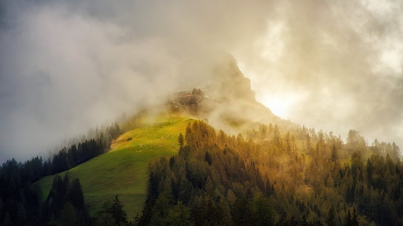 Nature's Wonders